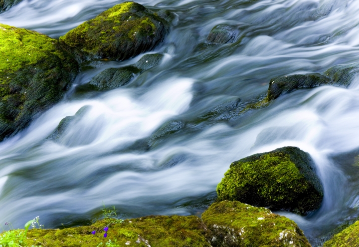 Mit dem Konfigurator kurbeln Sie Ihr Business an